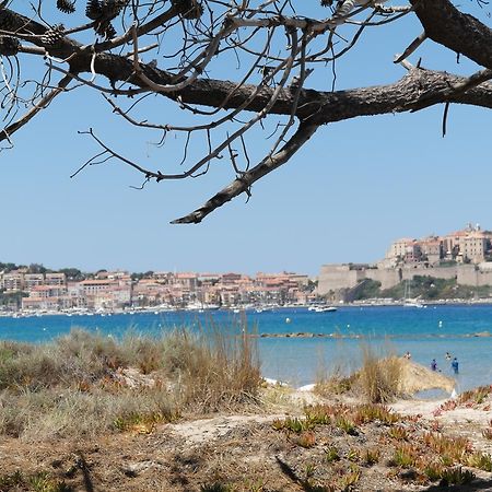 Residence Thalassa Calvi  Bagian luar foto