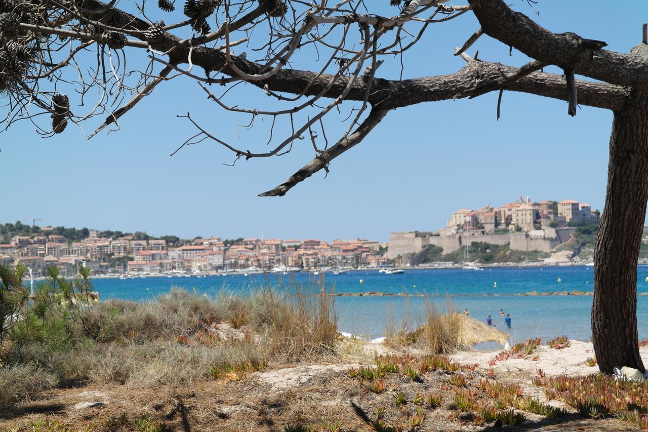 Residence Thalassa Calvi  Bagian luar foto