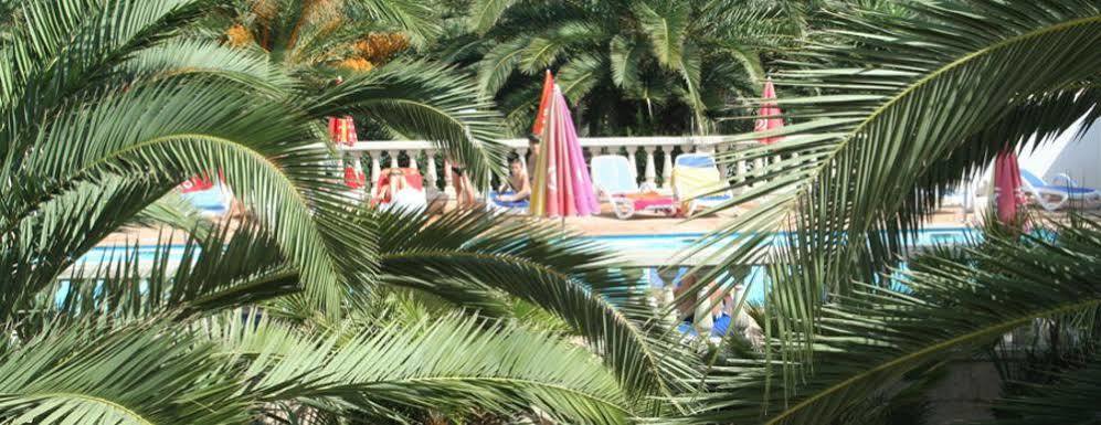 Residence Thalassa Calvi  Bagian luar foto